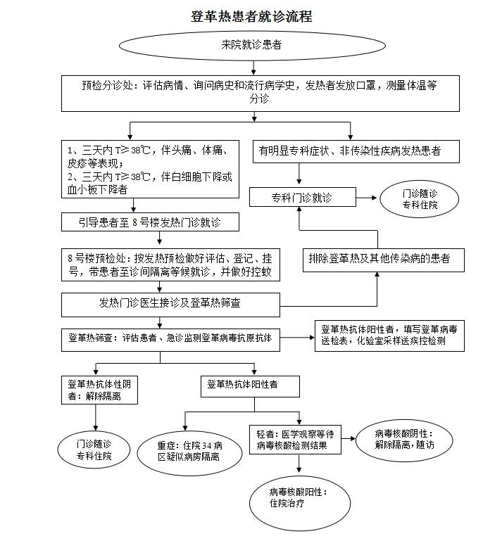 登革热患者就诊流程.jpg