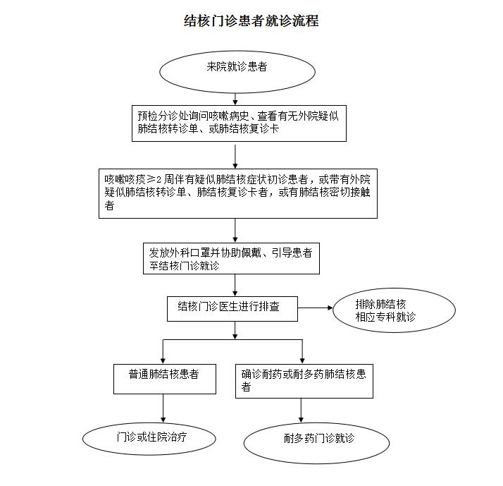 结核门诊患者就诊流程.jpg